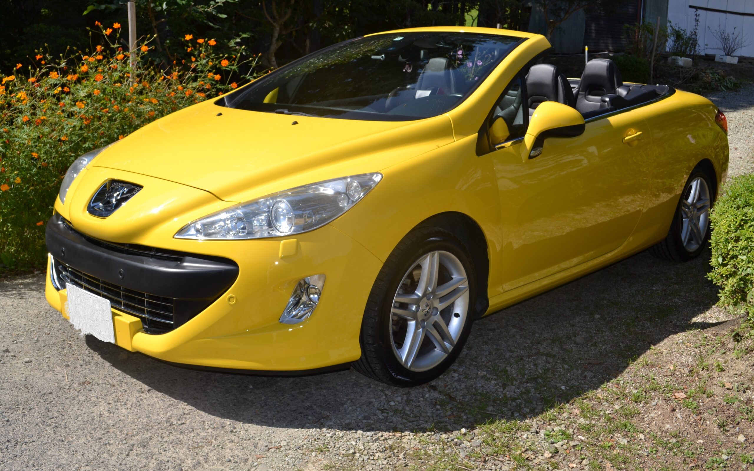 308cc プジョー オープン リア