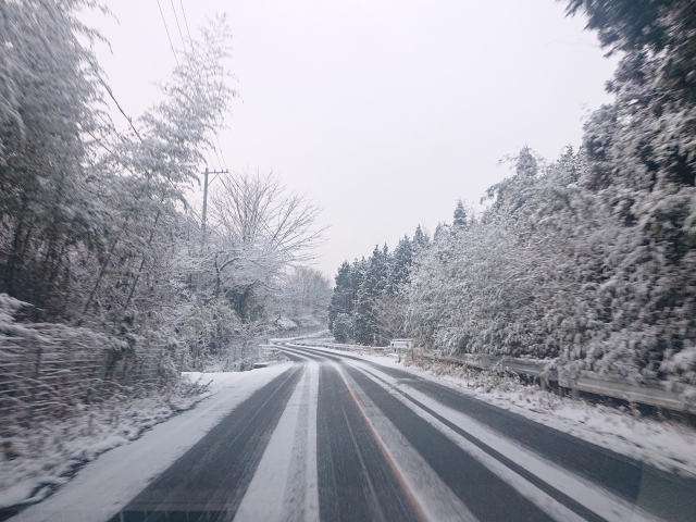 雪道